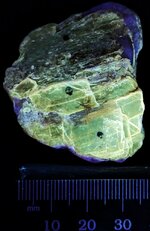 Lazurite spots in sodalite on phlogopite, Badakhshan, Afganistan, reverse side, SW 254nm.jpg
