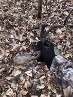 IMG_2625.jpeg