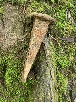IMG_6209.jpeg