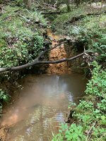 IMG_6216.jpeg