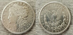 7-9-24 Dollar.jpg