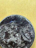 IMG_2895.jpeg