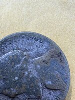 IMG_2894.jpeg