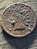 IMG_2934.jpeg