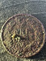 IMG_2935.jpeg