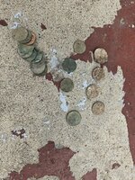 20240908_130913.jpg