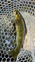 IMG_2182.jpeg