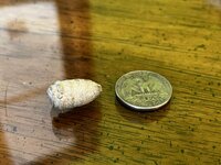 IMG_7809.jpg