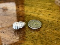 IMG_7810.jpg