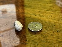 IMG_7811.jpg