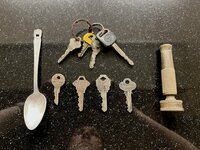 IMG_6666.jpeg