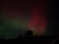 20241010_220735.jpg