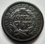 11_14_2024 cleaned 2.jpg