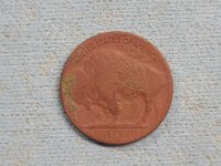 Buffalo 02.jpg