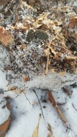 20250124_153553.jpg