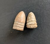 PXL_20250216_145729425~2.jpg