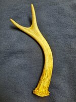 antler.jpg