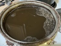 IMG_8270.jpeg