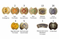 Scout Slide totals.jpg