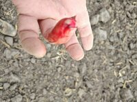 IMG_20251025_105245775.jpg