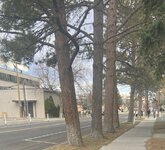 morgan curbstrip.jpg