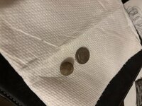IMG_9010.jpeg