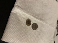 IMG_9008.jpeg