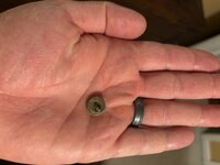IMG_9012.jpeg