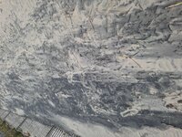 20251014_180133.jpg