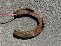 IMG_2042.jpeg