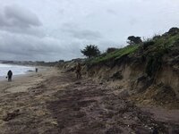 beach4Jan22,2017.jpeg