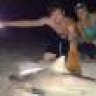 HullGuitars