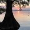 Reelfoot Relics