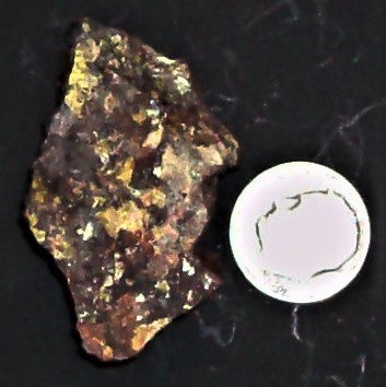 Uranocircite, Menzenschwand, St. Biasien, Baden-Wurttemberg Germany, US dime for scale, natura...JPG